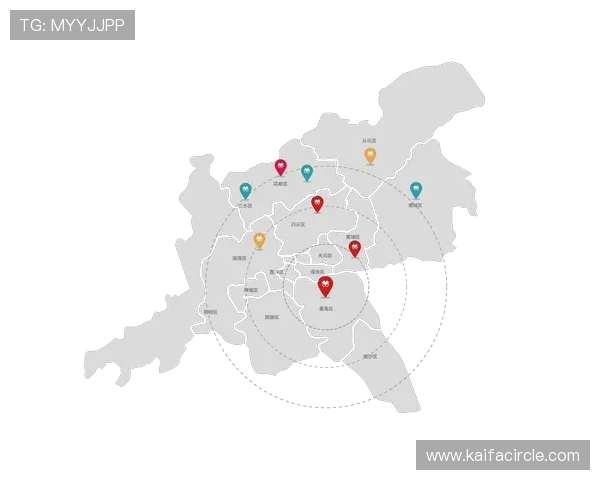 K8凯发网址登录线路的安全性分析，保障玩家个人信息和资金安全的实用指南